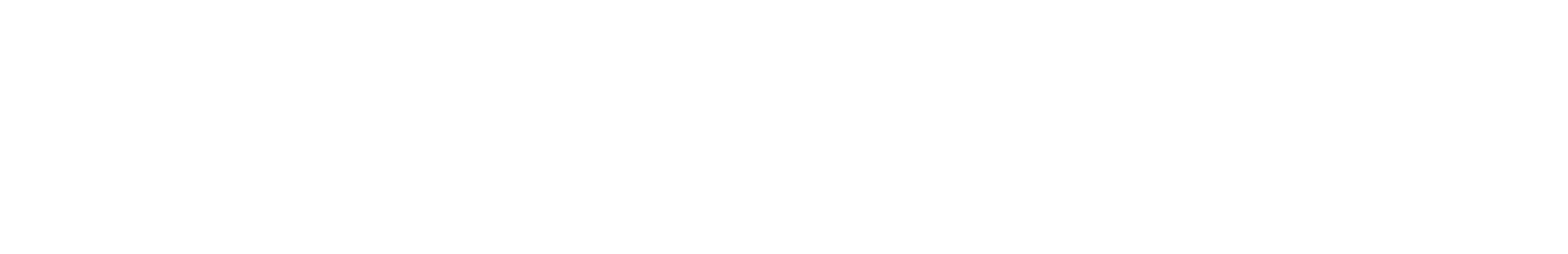 CleverMax